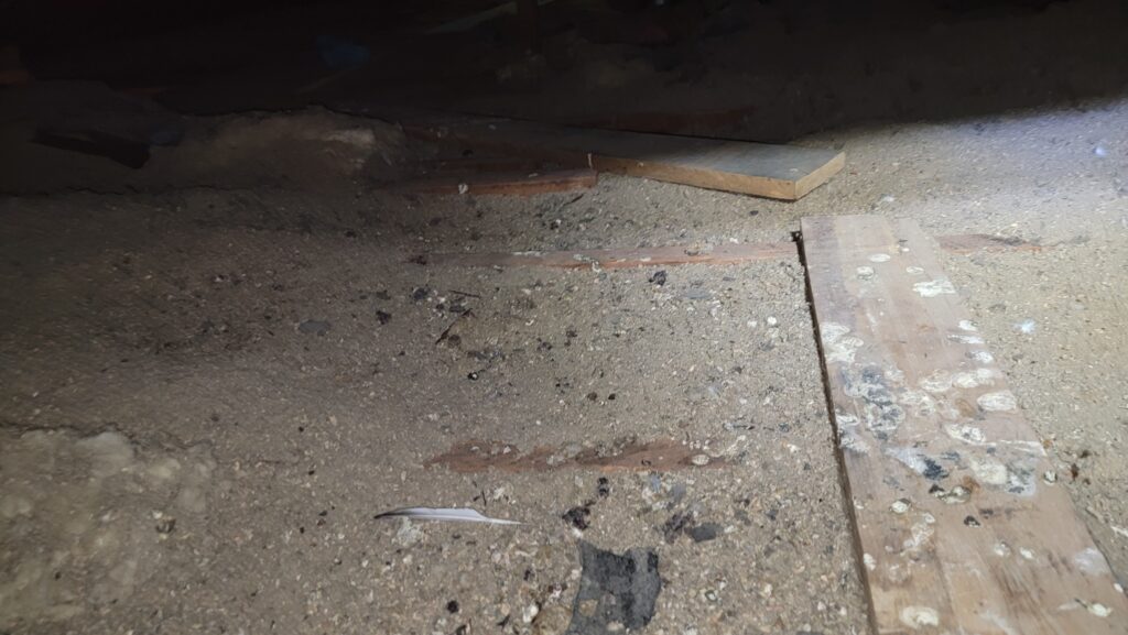 Insulation Removal Services attic before — old contaminated insulation removal maryland