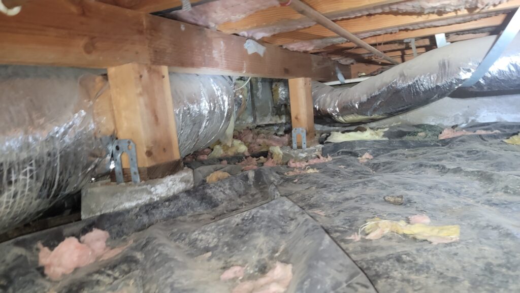 Crawl Space Cleaning & Insulation Replacement in Anne Arundel County, MD before contaminated crawl space fallen insulation maryland