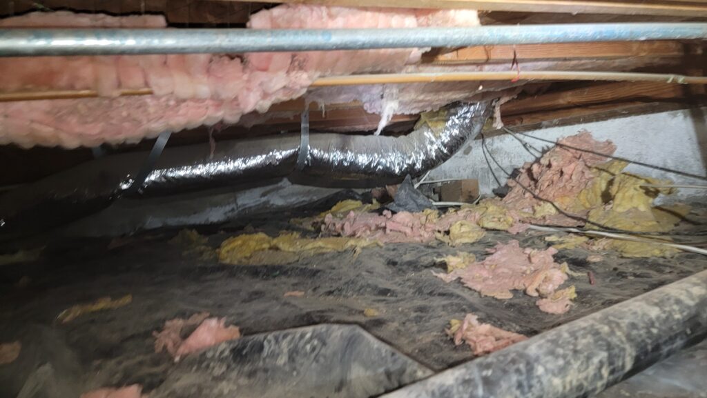 Crawl Space Cleaning & Insulation Replacement in Anne Arundel County, MD contaminated crawl space insulation maryland
