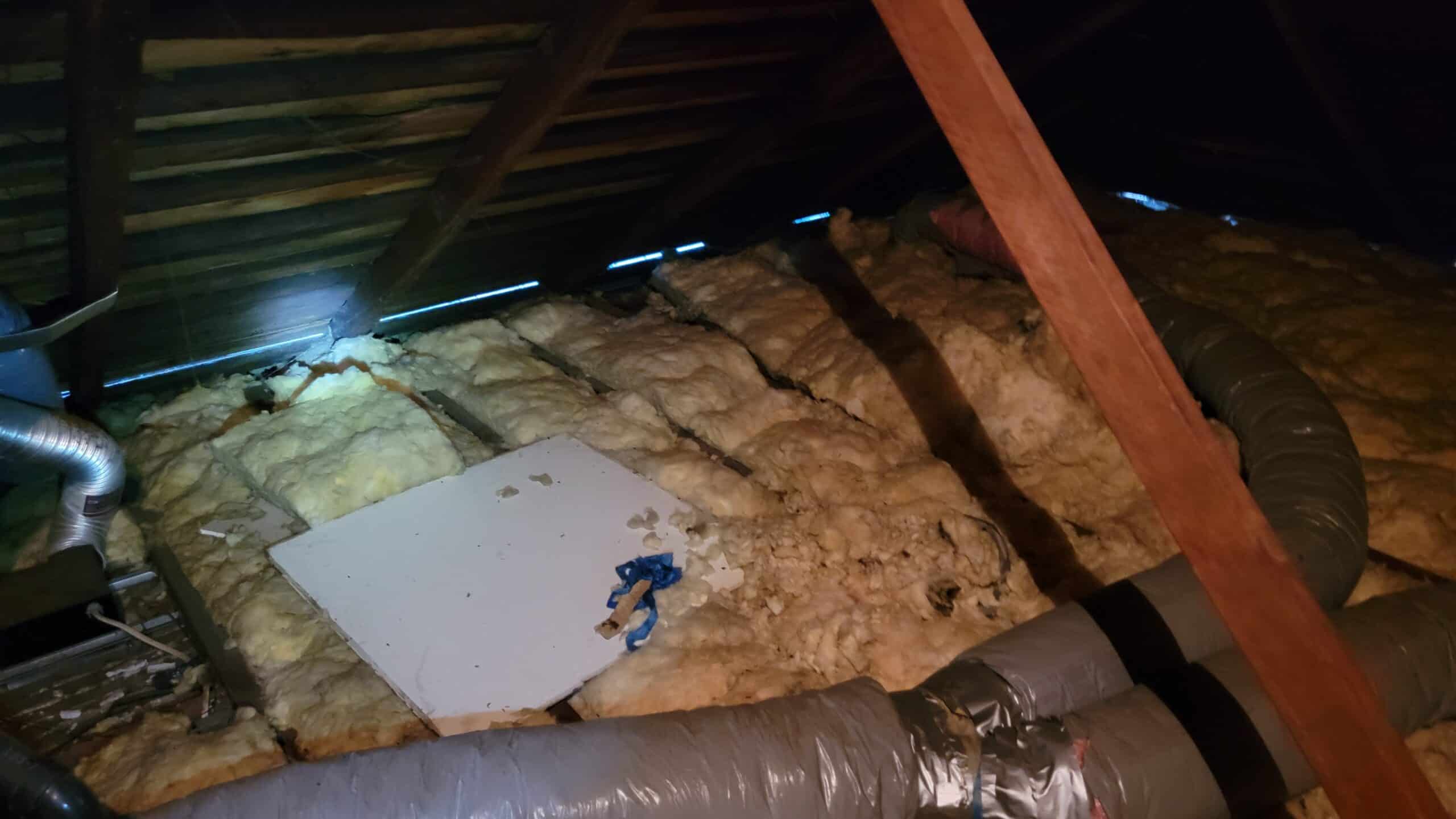 Attic before Xanvria insulation service — dirty, damaged, and inefficient