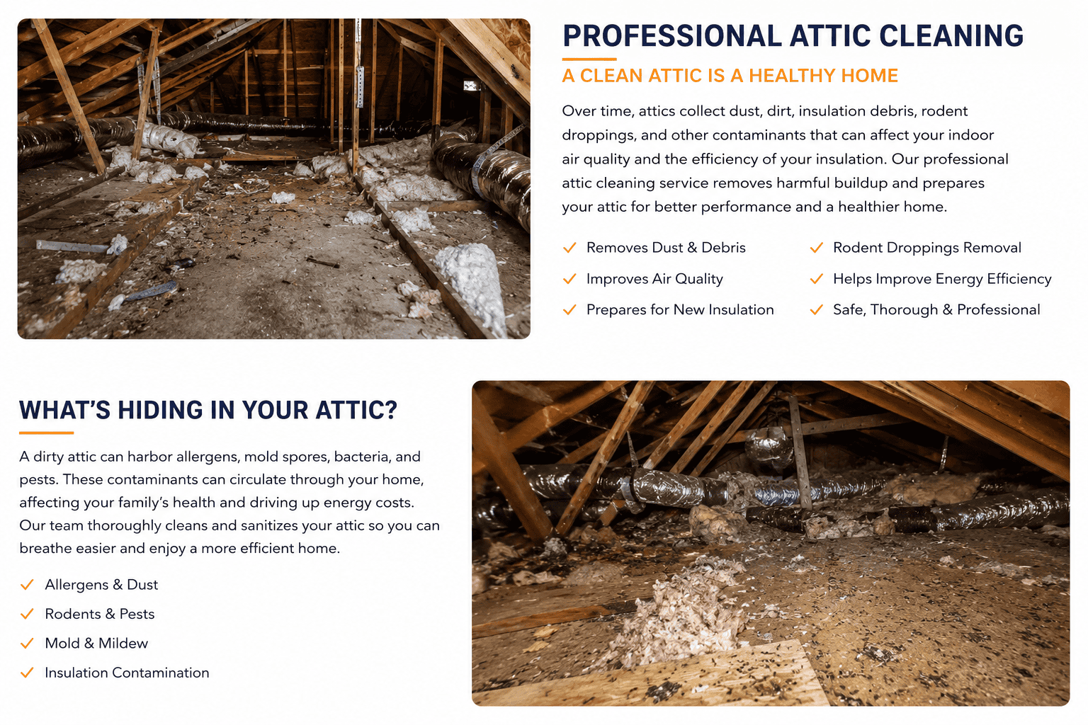 Dirty attic before Xanvria cleaning service