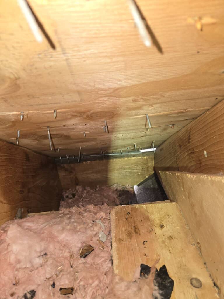 Rodent-Contaminated Attic Insulation: When Should It Be Removed? hidden rodent entry point near roofline