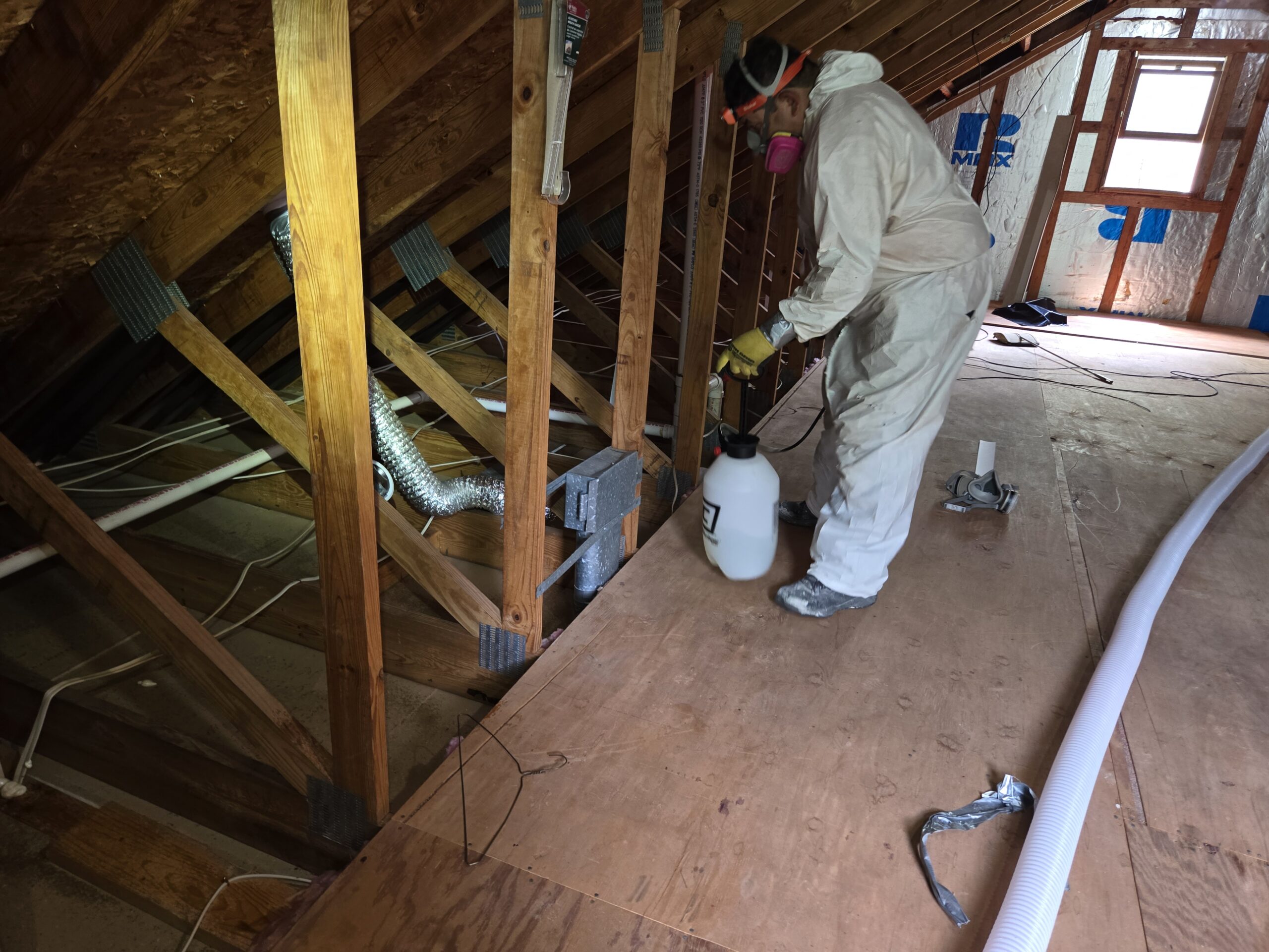 Technician applying a cleaning treatment inside an attic after insulation removal in Arnold, Maryland