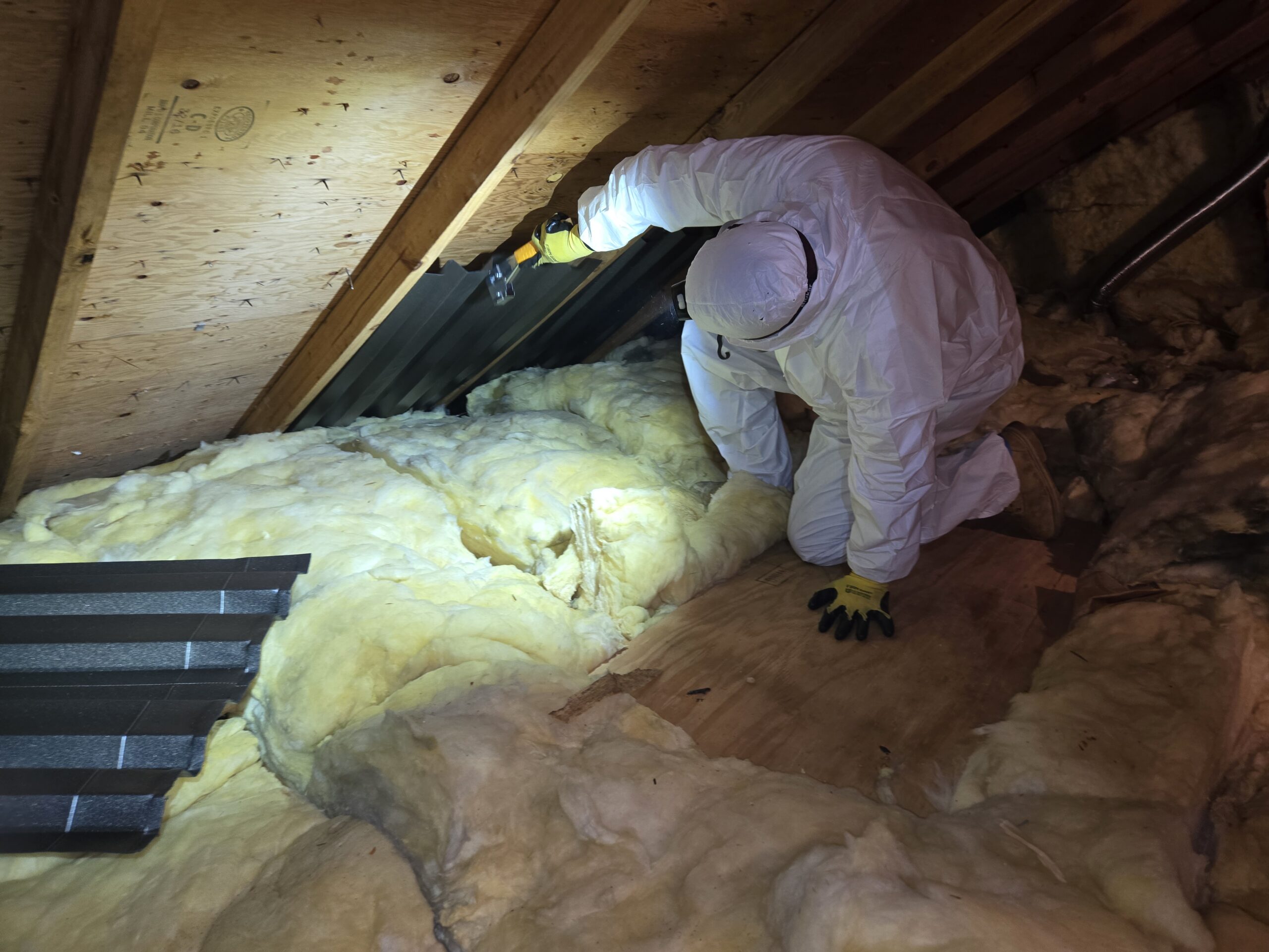 Technician inspecting existing attic insulation in Severna Park, Maryland