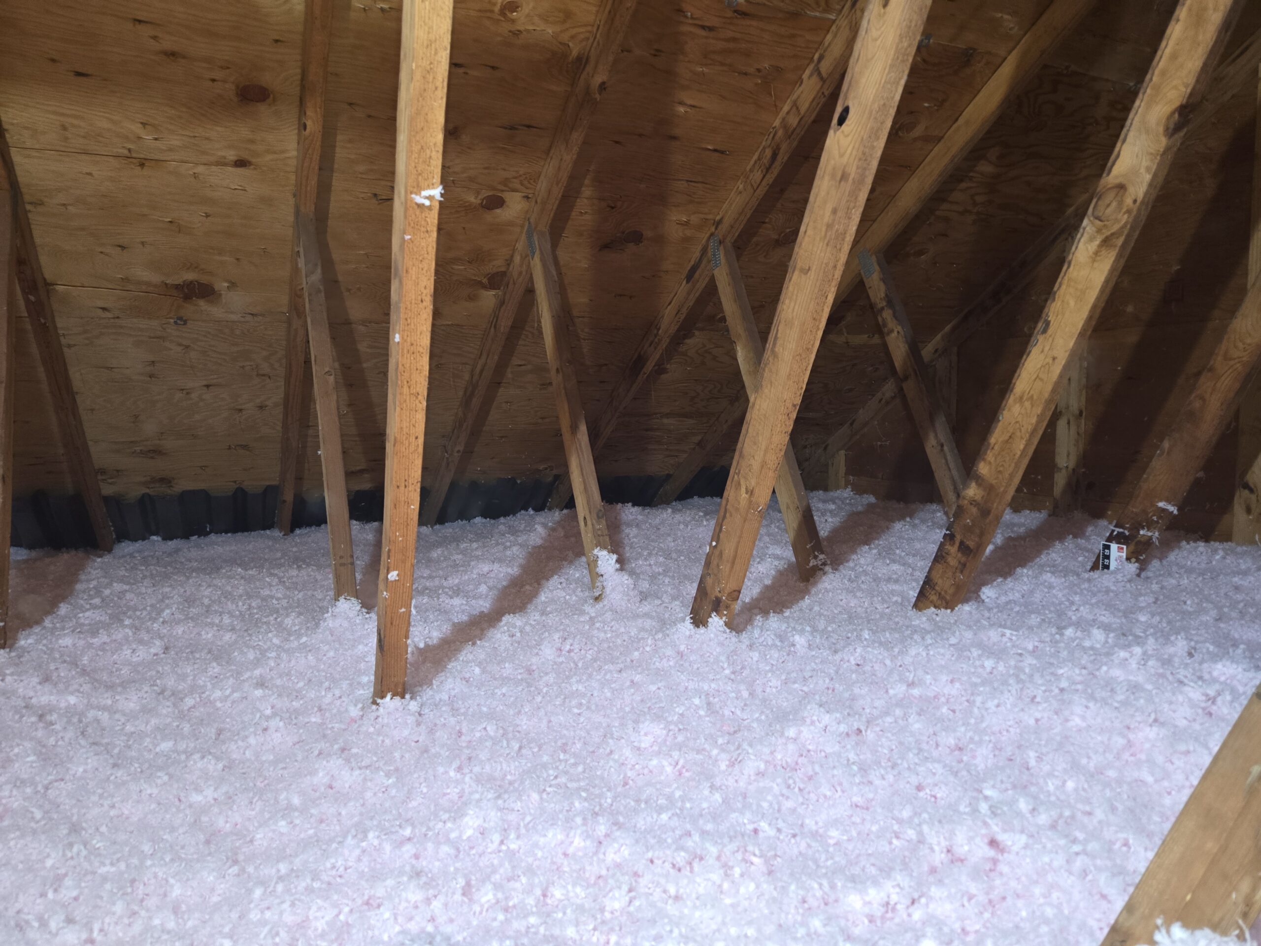 Attic after Xanvria insulation service — clean, efficient, and protected