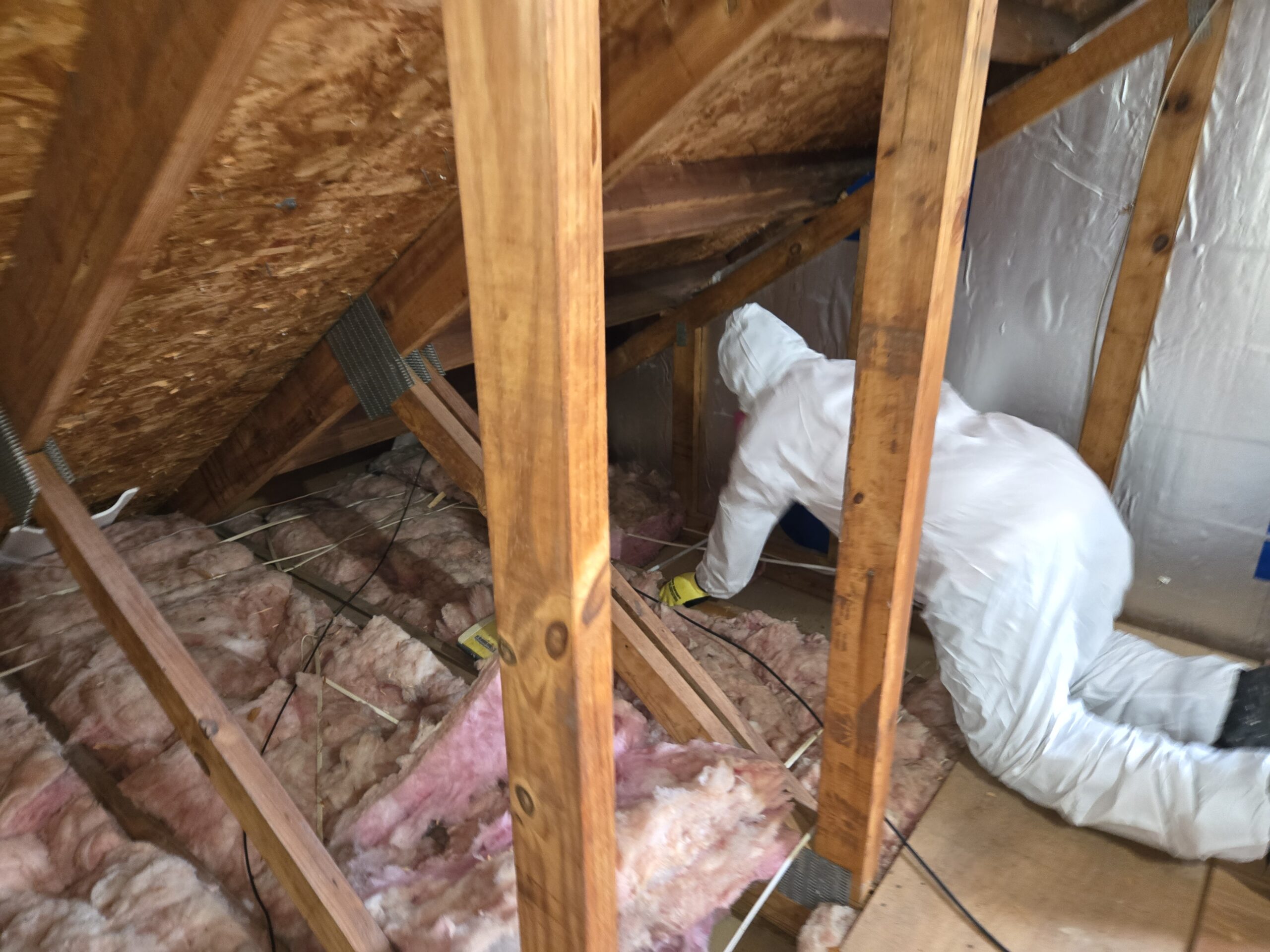 Attic insulation removal project in Annapolis, Maryland