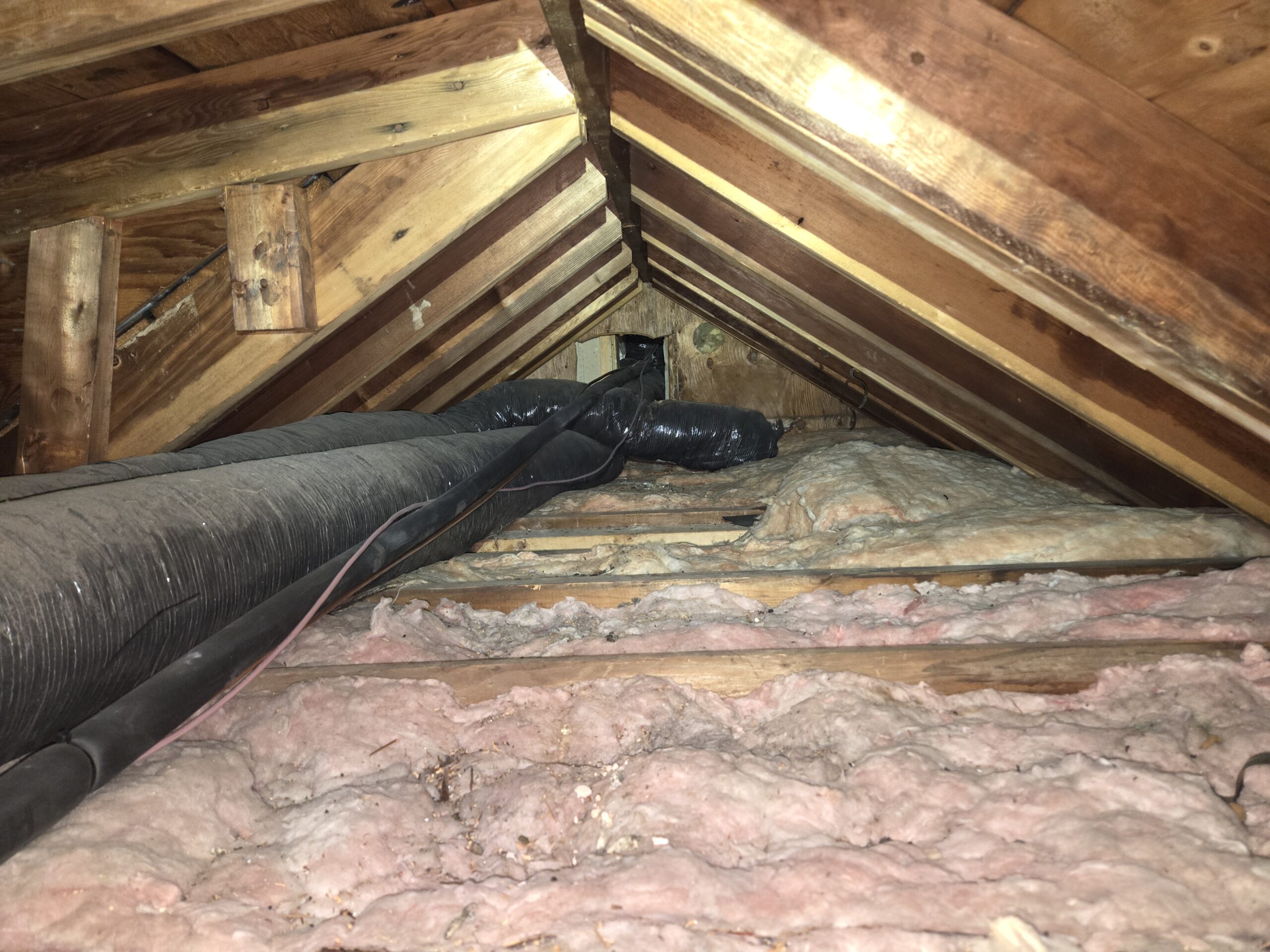 Old attic insulation before removal in Annapolis, Maryland