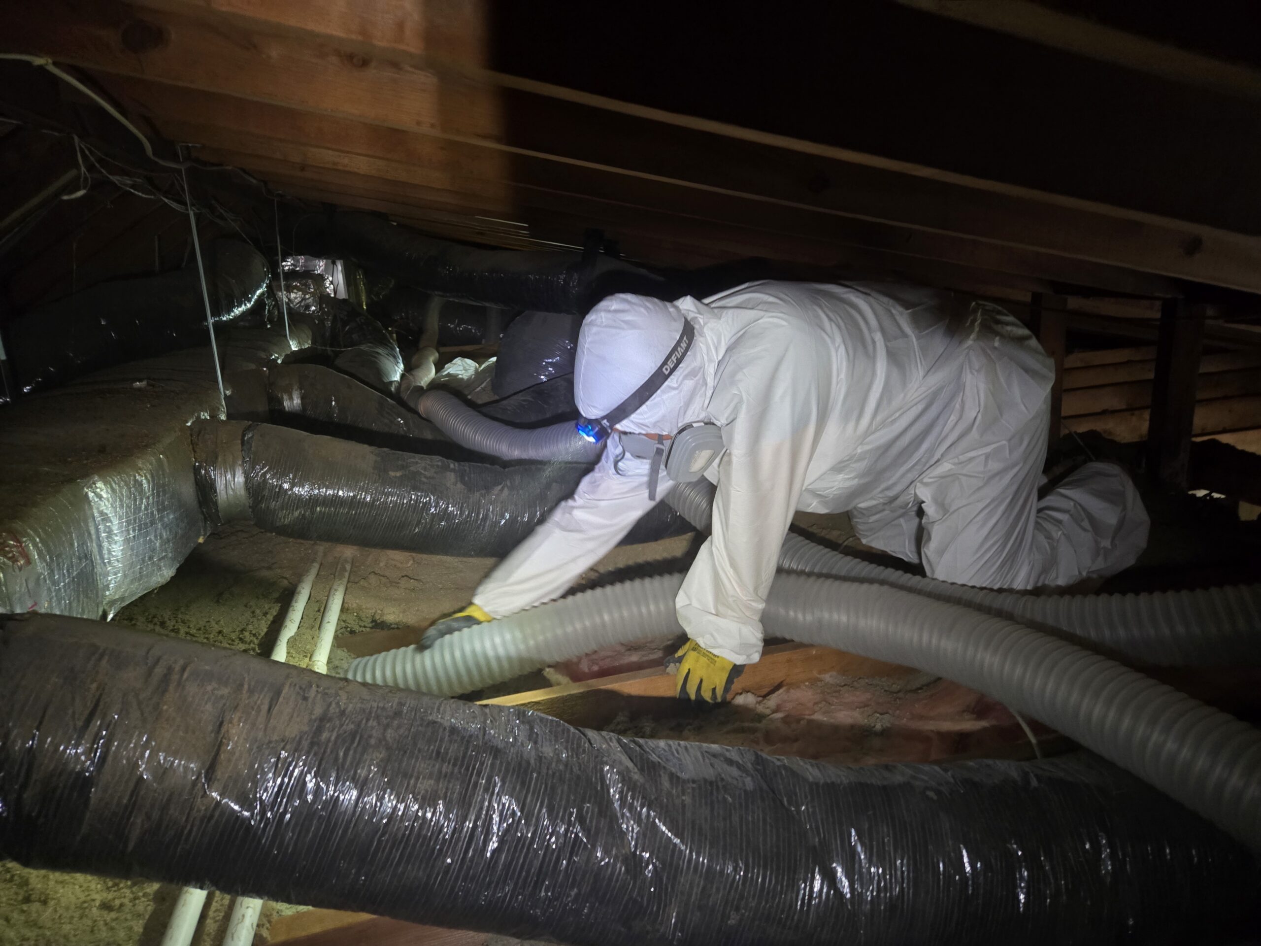 Xanvria technician performing attic insulation removal