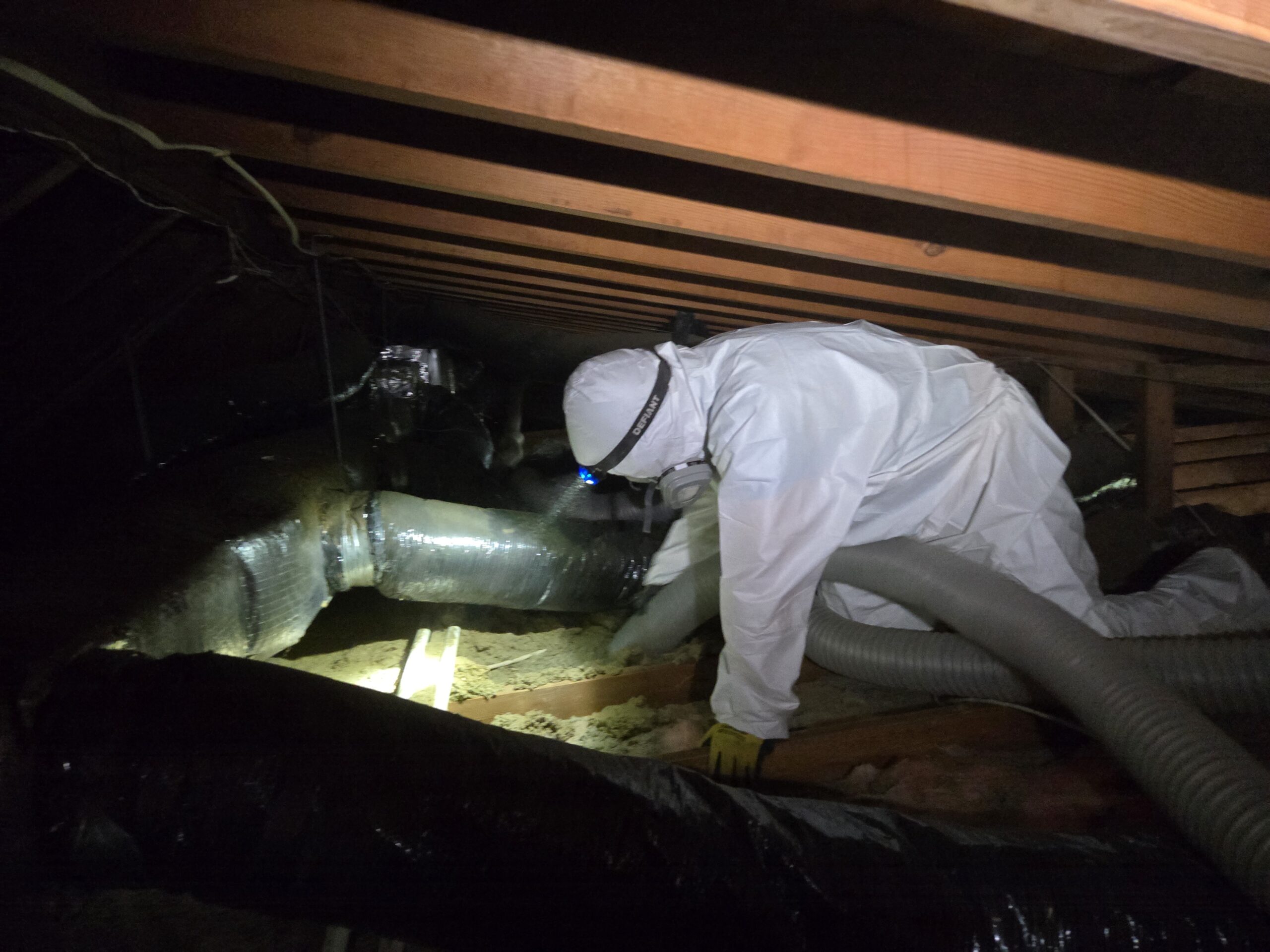 Technician cleaning an attic after insulation removal in Clarksville, Maryland