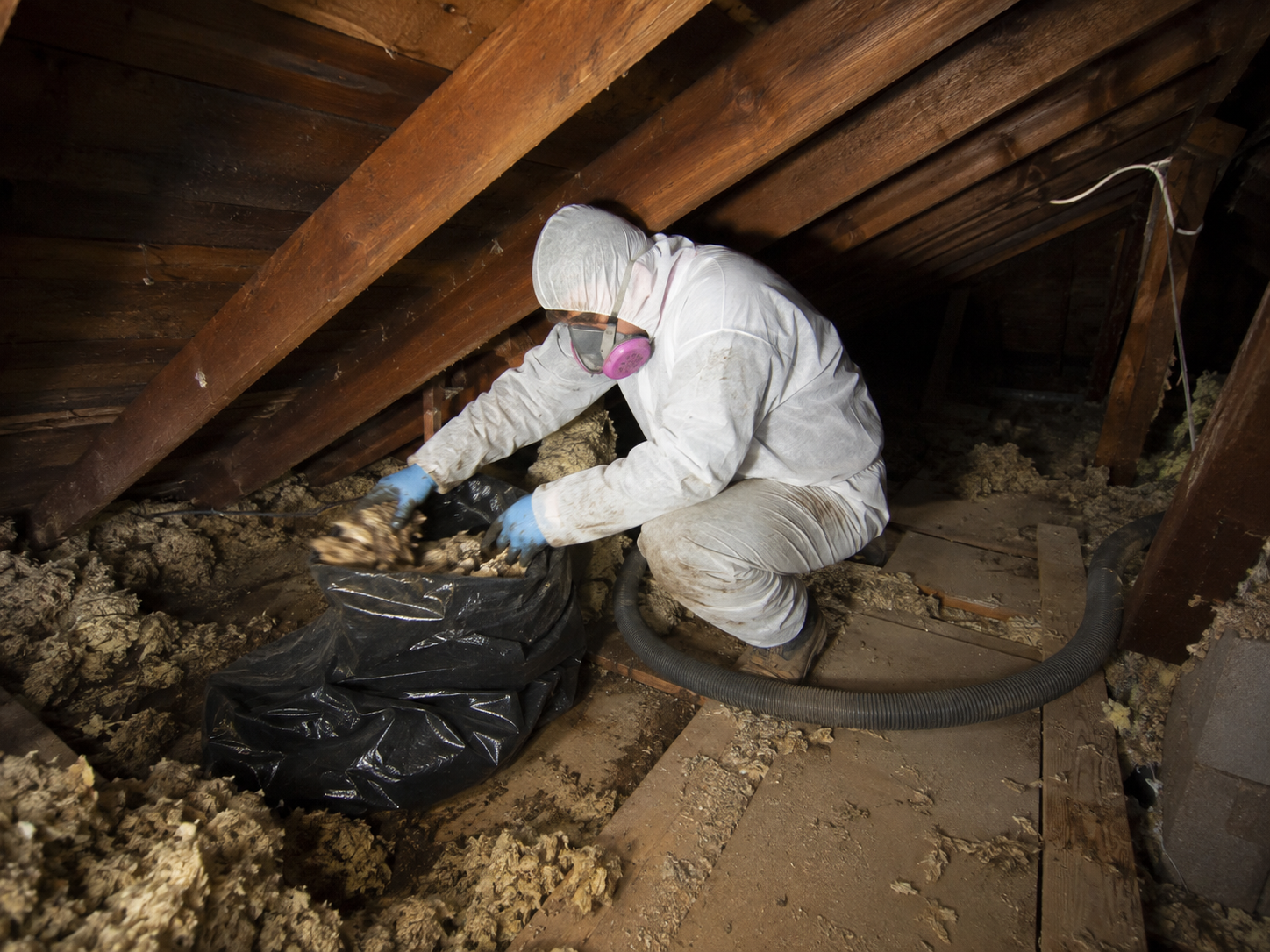 Old attic insulation and debris inside an Elkridge, Maryland attic before insulation removal and cleanup