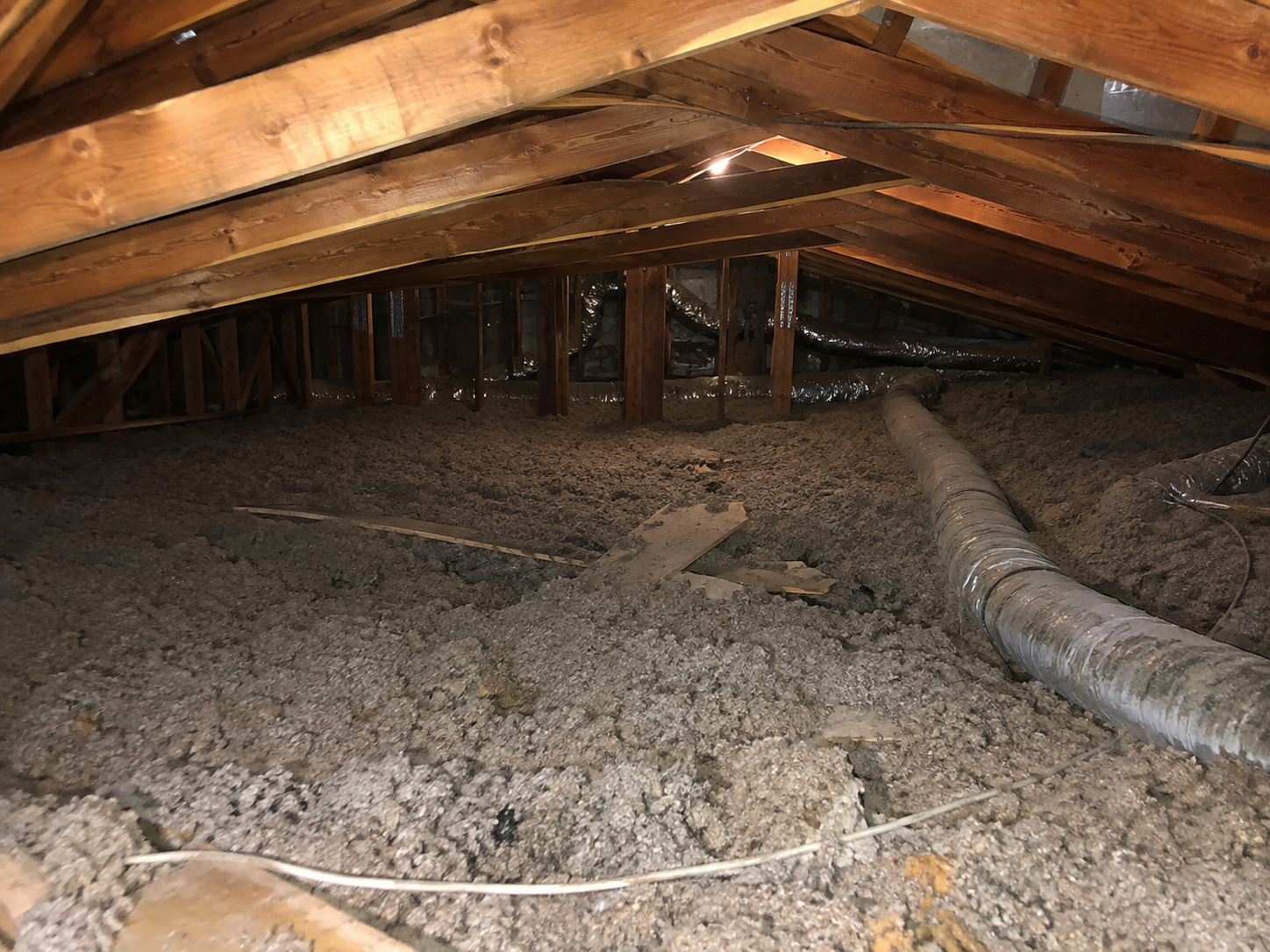 Technician removing old attic insulation and debris during an attic cleanup project in Elkridge, Maryland