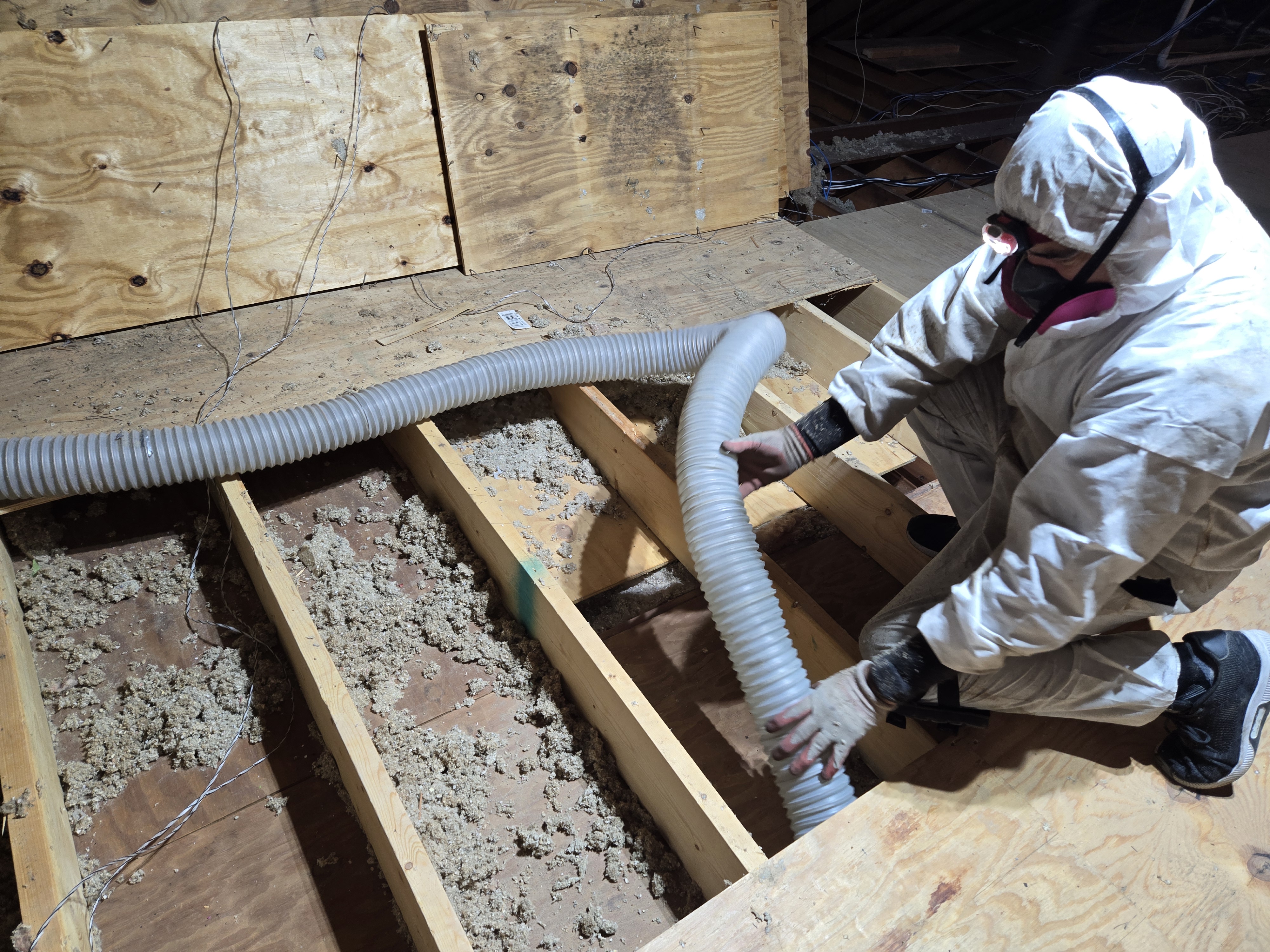 Xanvria technician vacuuming old blown-in insulation from between attic joists in a Maryland home