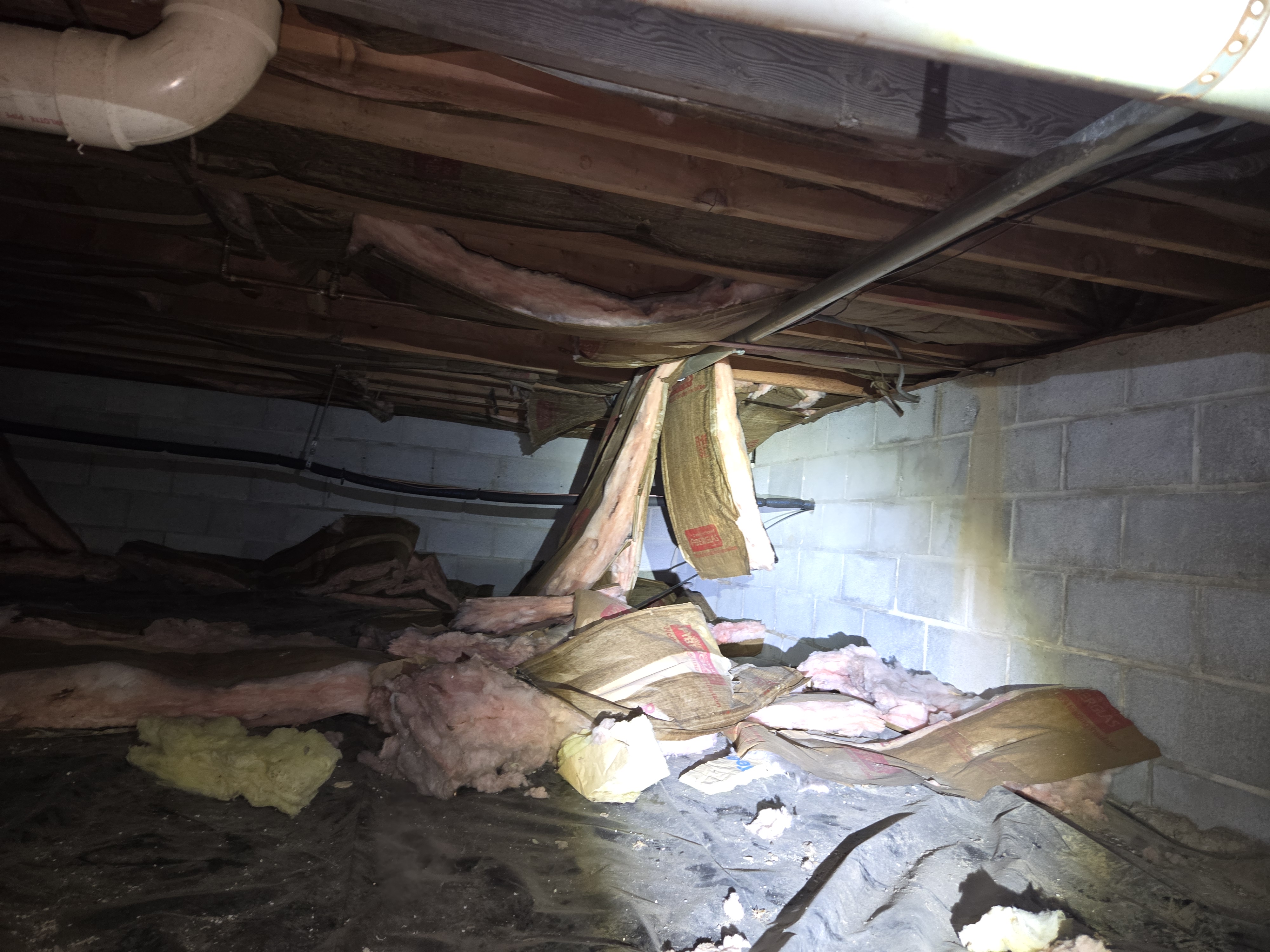 Crawl space with fallen, damaged insulation and torn plastic before encapsulation in a Maryland home