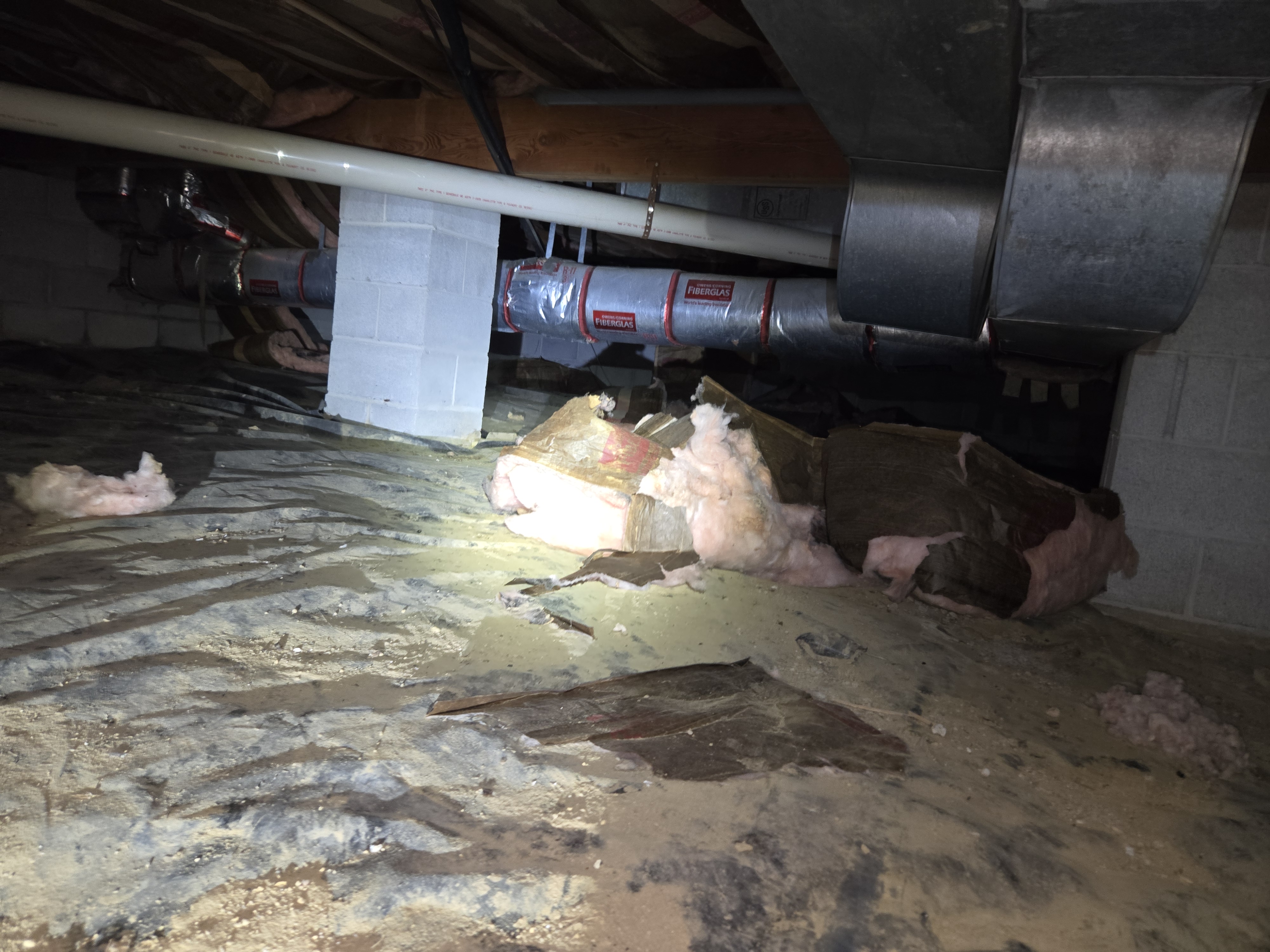 Insulation Contractor in Baltimore City, MD Damp crawl space with fallen insulation and torn plastic before cleanup and encapsulation in Maryland