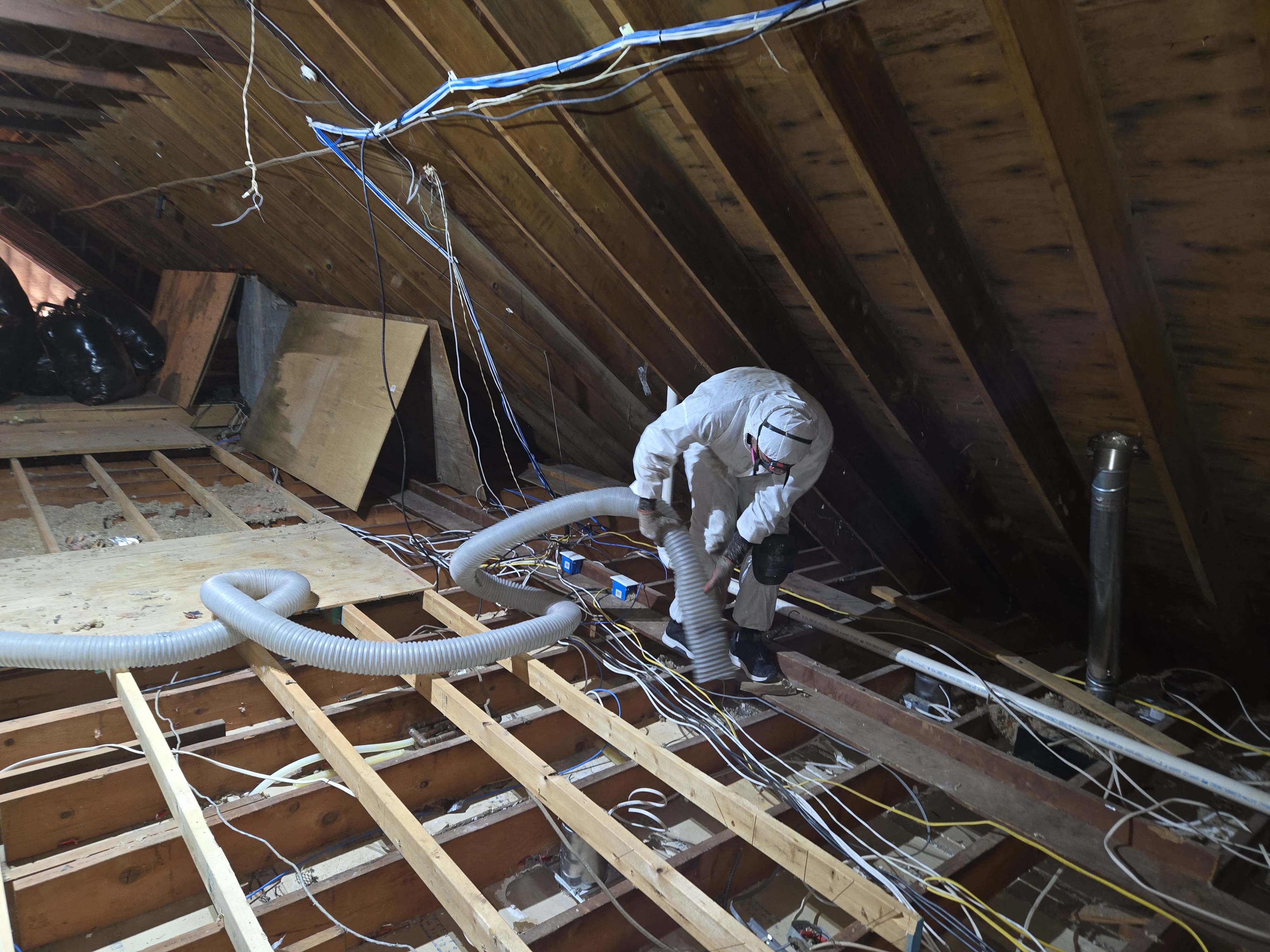 Xanvria technician removing old attic insulation with a vacuum hose in an Anne Arundel County home